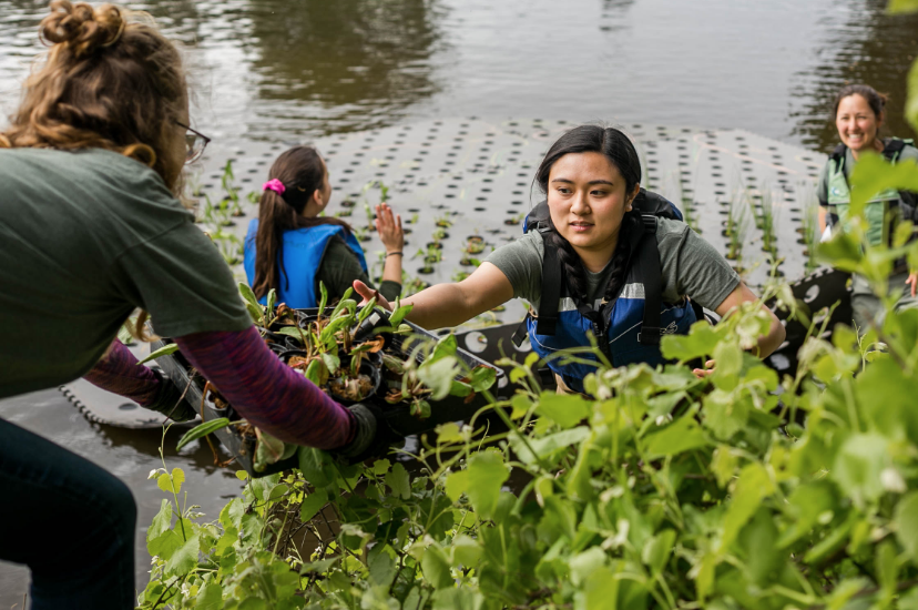 Waterway Stewardship Interns installing a floating island 