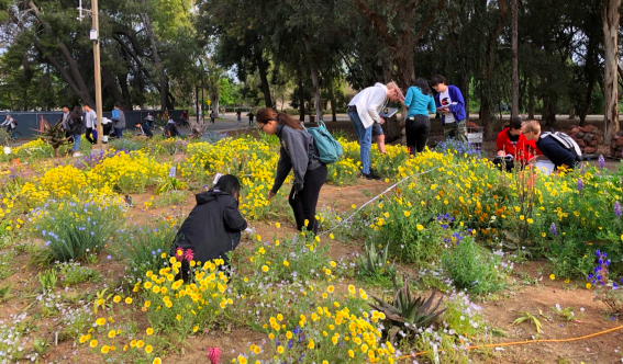Students exploring the BOG site 