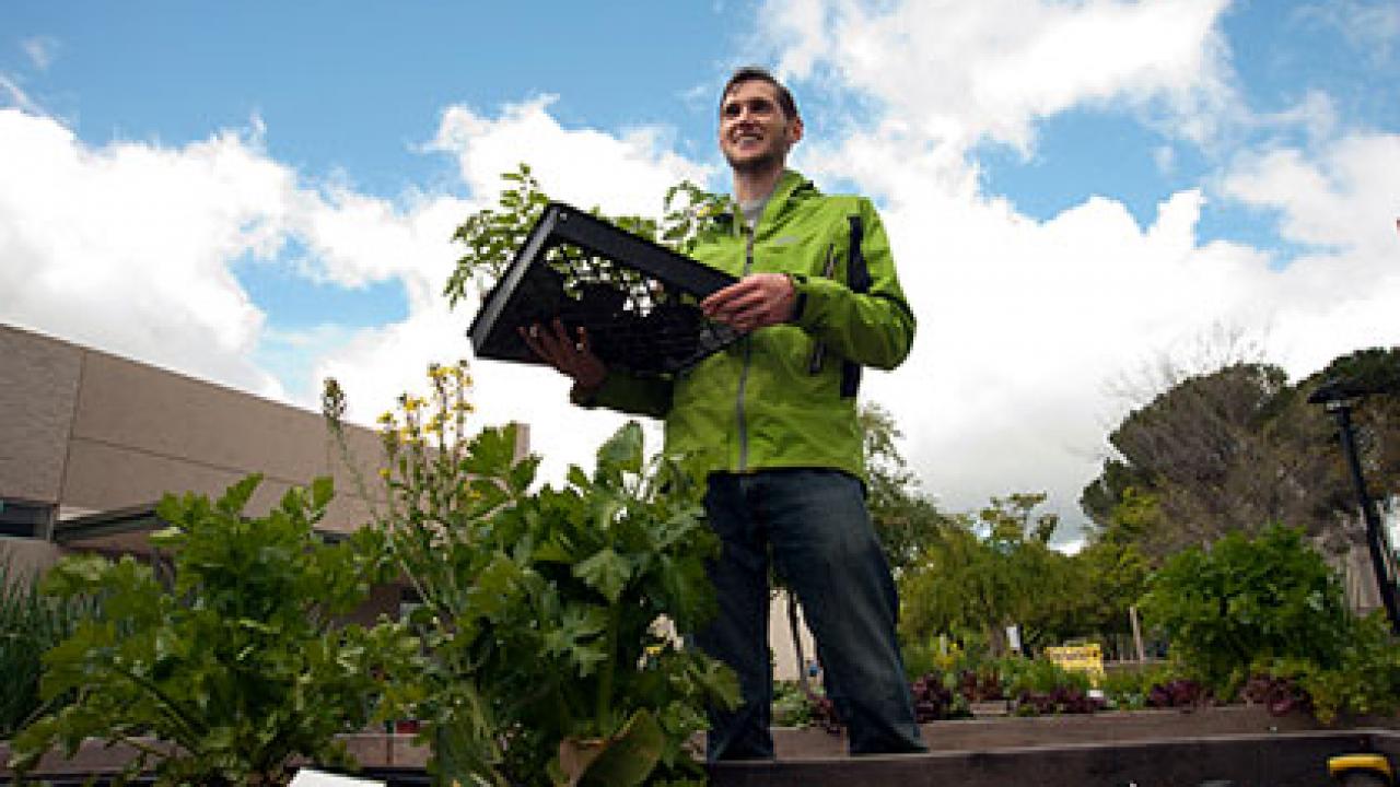 Sustainability Garden