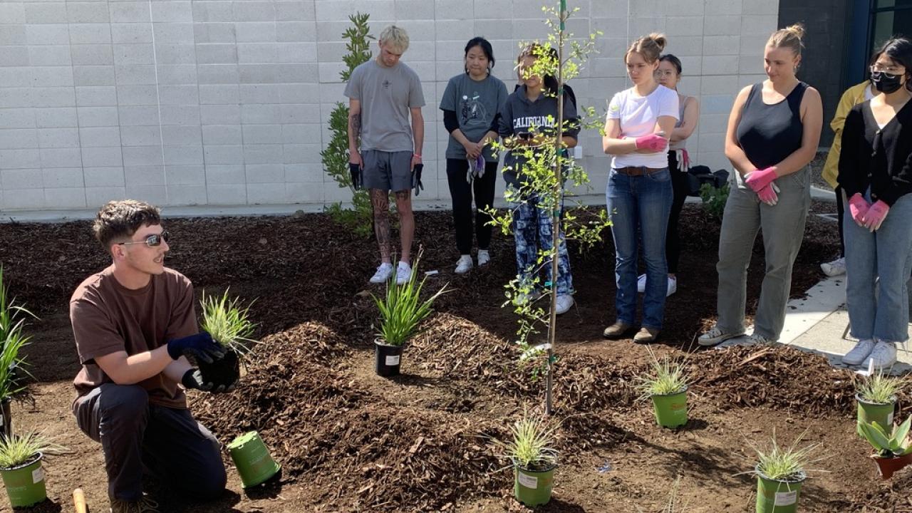 A group of students watching a planting demonstration.