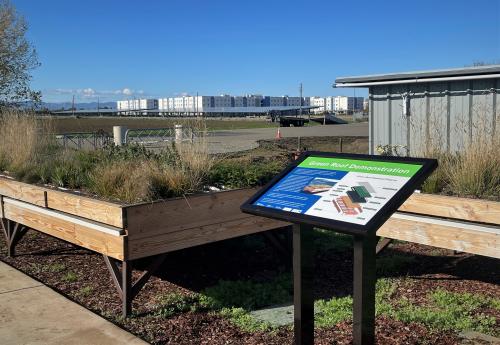 The Green Roof Display 