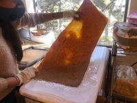 Picture shows SCOBY made from Kombucha which can be used as leather
